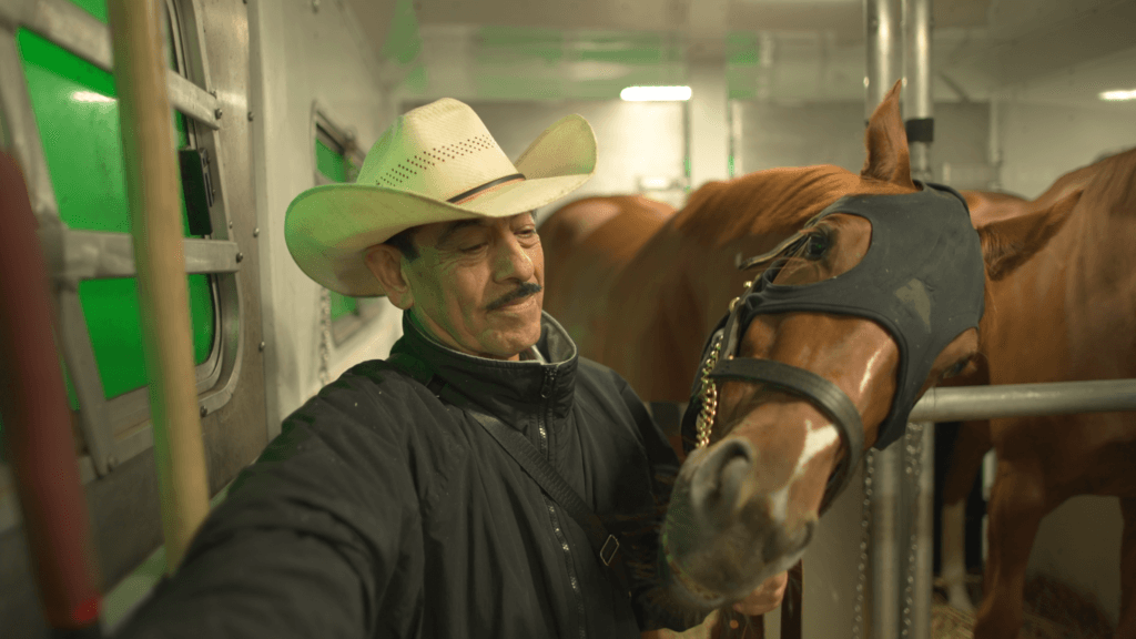 A man in his 70's, Cristóbal, wearing a white cowboy hat and black mustache, holds on to a chestnut racehorse as they are transported by trailer to a racetrack in Lexington, Kentucky.