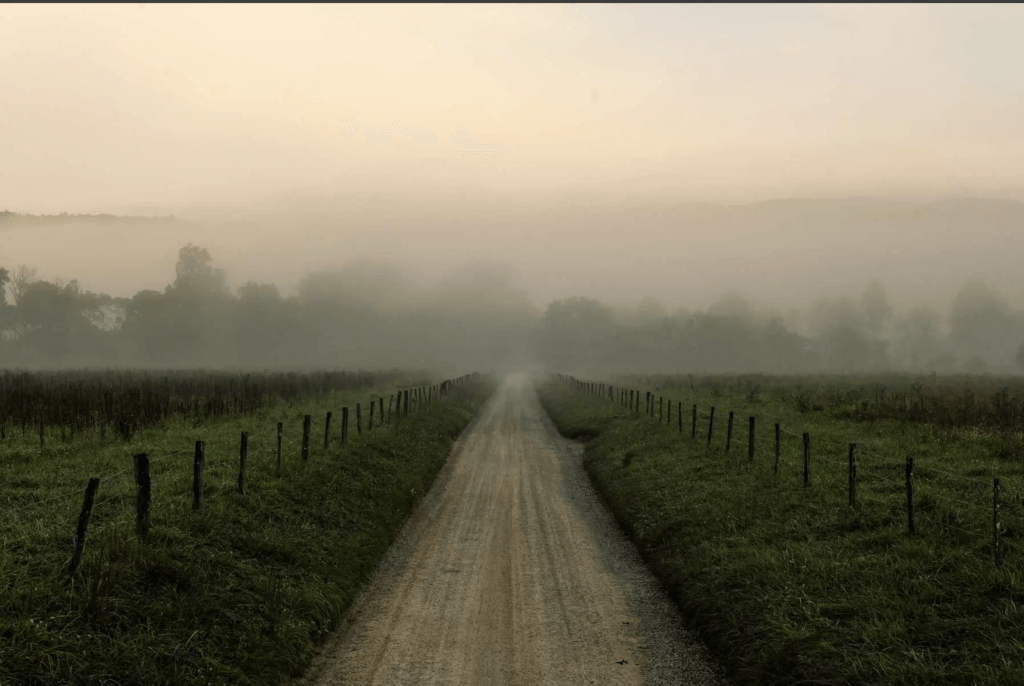 A landscape image shows a gravel road between two cow fields receding into a fog tinted gold by the sunset.