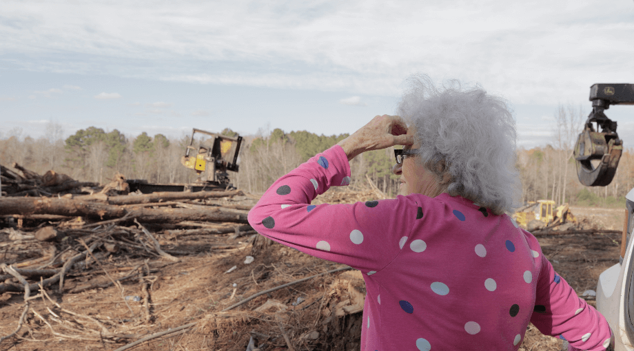 Image 01: a woman in a pink polka-dot shirt looks over recently clear-cut timberland.